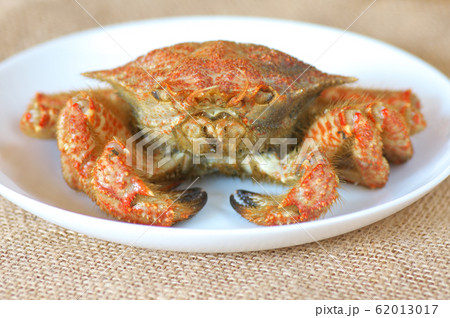 茹でたクリガニ 茹でたクリガニ 62013017