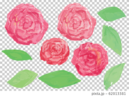 Watercolor red rose - Stock Illustration [62013381] - PIXTA