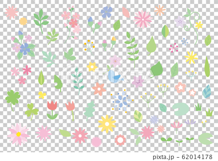 パステルカラーの花や葉っぱのイラストセット 62014178