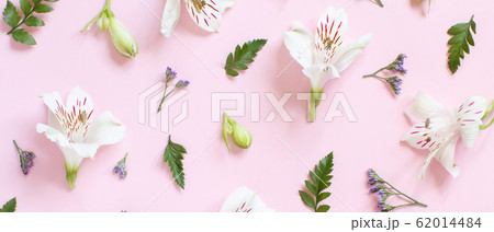 Flowers on a light pink background Flowers on a light pink background 62014484