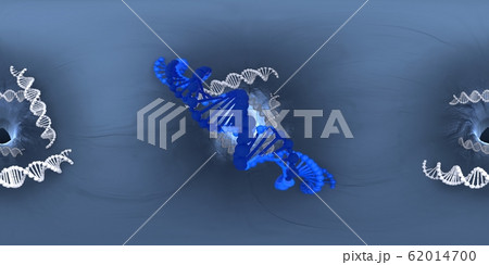 3d illustration of DNA deoxyribonucleic acid 62014700