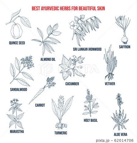 Collection of best ayurvedic herbs for beautiful skin 62014706