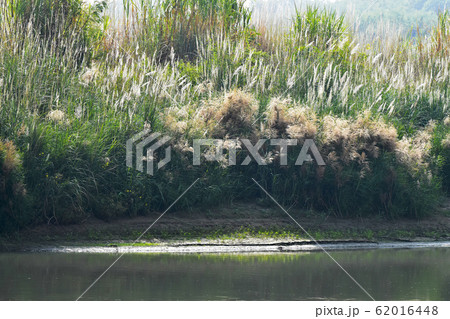 観光 見物 遊覧 62016448