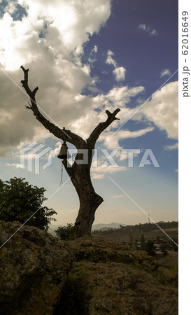 Tree with the church bell on hill above Lalibela, 62016649