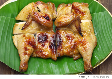 ガイヤーン 62019619