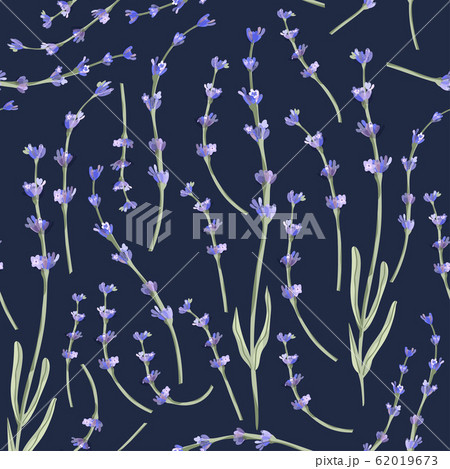 Provence seamless lavender vector pattern. Provence seamless lavender vector pattern. 62019673