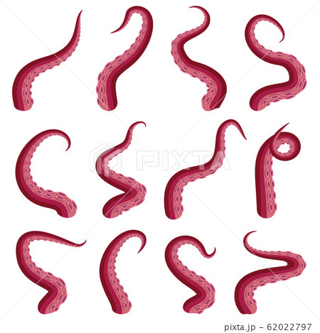 Tentacles octopus set underwater animal. Kraken or Squid red tentacle cut part isolated on white. Vector illustration 62022797