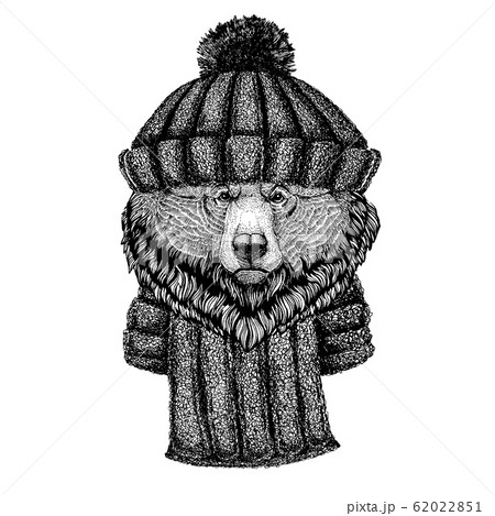 Cool Animal Wearing Knitted Winter Hat Warm のイラスト素材