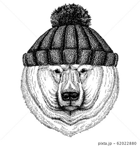 Big Polar Bear White Bear Cool Animal Wearing のイラスト素材 62