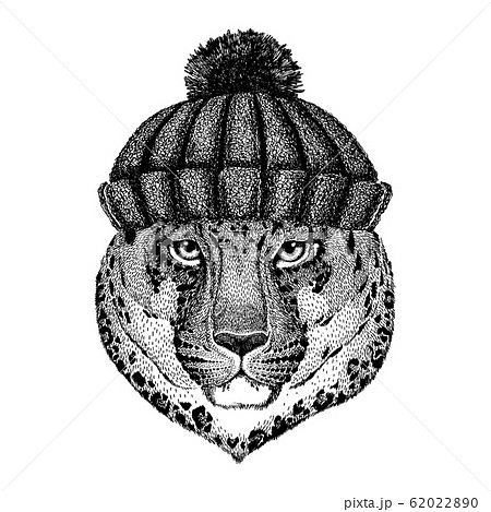 Wild cat Leopard Cat-o'-mountain Panther Cool animal wearing knitted winter hat. Warm headdress beanie Christmas cap for tattoo, t-shirt, emblem, badge, logo, patch 62022890