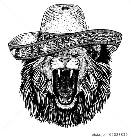 Lion wearing traditional mexican hat. Classic headdress, fiesta, party. 62023336
