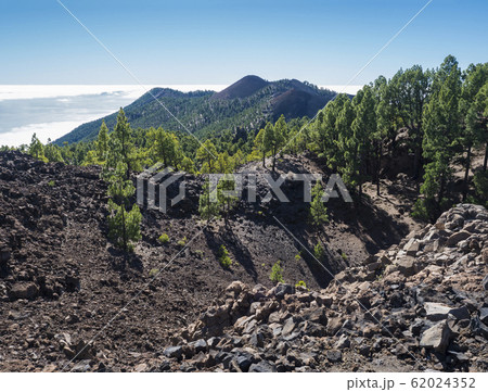 Beautiful volcanic landscape with lush green pine trees and colorful volcanoes along the path Ruta de los Volcanes, beautiful hiking trail at La Palma island, Canary Islands, Spain, Blue sky 62024352