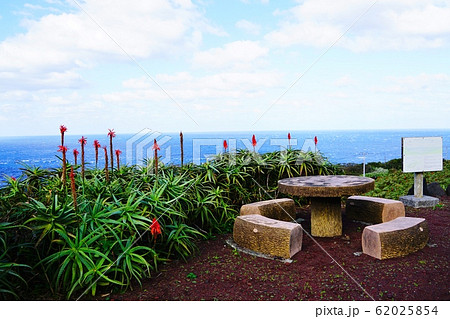 八丈島　大越鼻灯台近くのアロエ園みはらし台からの眺め 62025854