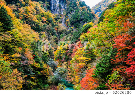 高瀬渓谷の紅葉 62026280