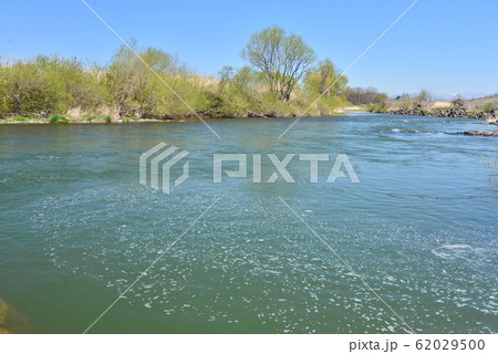 早春の千曲川 早春の千曲川 62029500