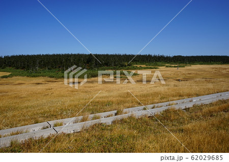 行ってみよう秋の八幡平 62029685