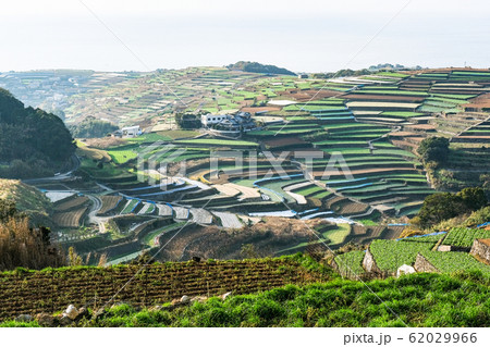 雲仙市・南串山町の棚畑 62029966