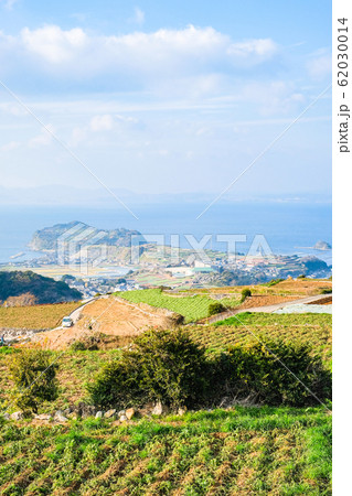 雲仙市・南串山町の棚畑 雲仙市・南串山町の棚畑 62030014