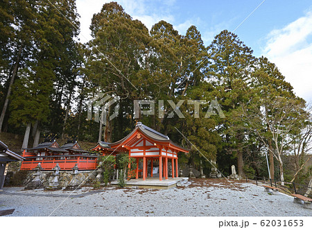 八つ房杉 桜実神社(奈良県宇陀市菟田野) 八つ房杉 桜実神社(奈良県宇陀市菟田野) 62031653