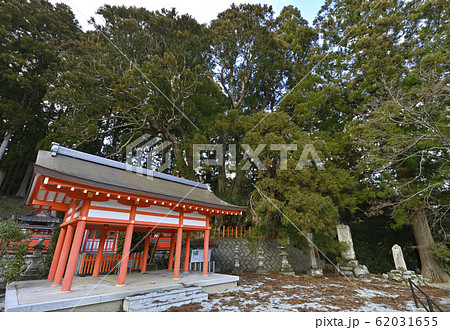 八つ房杉 桜実神社(奈良県宇陀市菟田野) 八つ房杉 桜実神社(奈良県宇陀市菟田野) 62031655