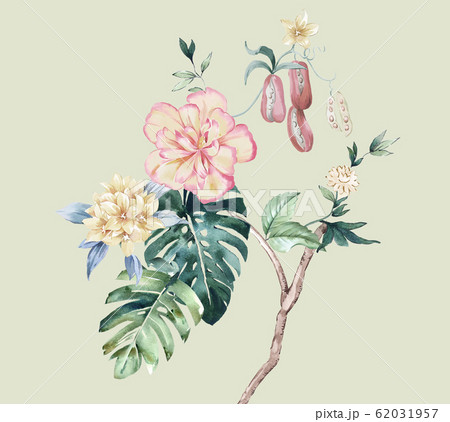 花 フラワー お花 62031957