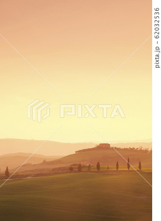Trees on hills at sunset in Tuscany, Italy Trees on hills at sunset in Tuscany, Italy 62032536