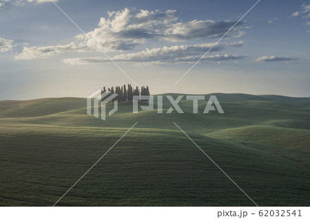 Trees on hill in Tuscany, Italy 62032541