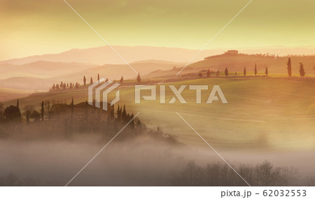 Trees on hills at sunset in Tuscany, Italy 62032553