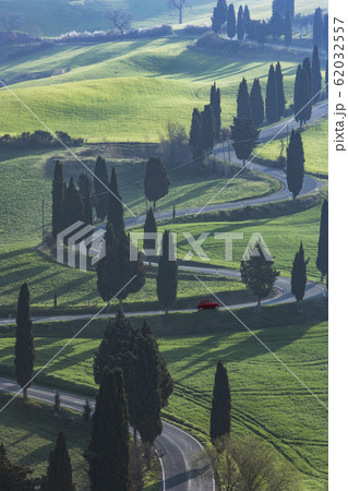 Trees along winding road in Tuscany, Italy 62032557