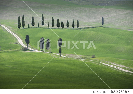 Trees along road in Tuscany, Italy 62032563