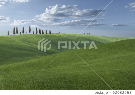 Trees on hill in Tuscany, Italy 62032568