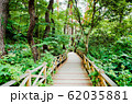 田舎 樹木 村 62035881