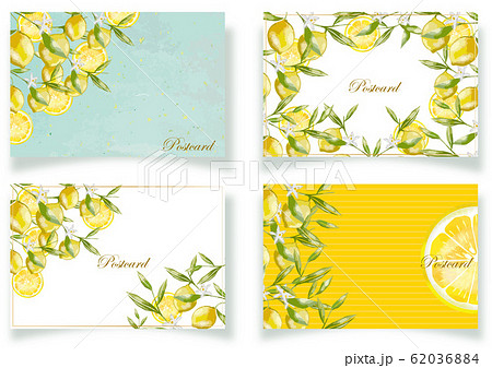 レモン 水彩 フレーム 植物 果実 実 フルーツ 飾り枠 フレーム おしゃれのイラスト素材 62036884 Pixta