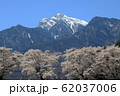 山梨県真原の桜並木と甲斐駒ケ岳 62037006