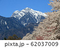 山梨県真原の桜並木と甲斐駒ケ岳 62037009