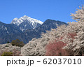 山梨県真原の桜並木と甲斐駒ケ岳 62037010