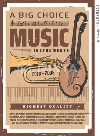 Professional music store, musician instruments 62039211