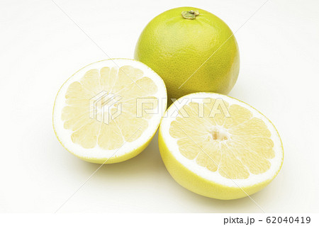 メロゴールド 62040419