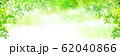 新緑　葉　緑　背景 62040866