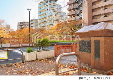 紅葉の目黒川 中里橋 62041193
