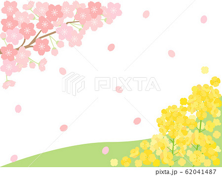 春素材15 桜 菜の花のイラスト素材