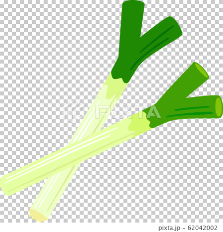 Japanese leek Japanese leek 62042002