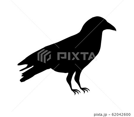 Crow Silhouette Illustration Icon Black Stock Illustration