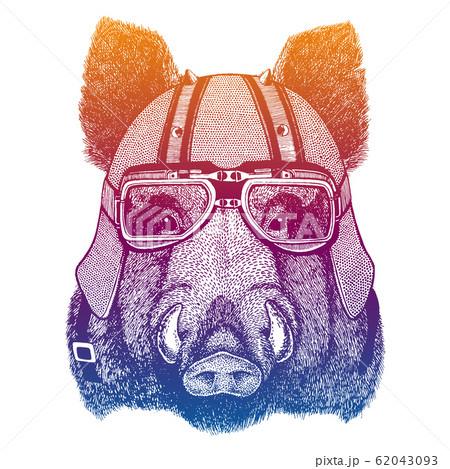 Hog, aper, boar wearing motorcyle helmet. Speed and road. Vintage style vector illustration. Face of dangerous wild animal. Portrait head of biker. Hog, aper, boar wearing motorcyle helmet. Speed and road. Vintage style vector illustration. Face of dangerous wild animal. Portrait head of biker. 62043093