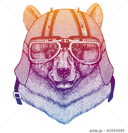 Bear wearing motorcycle helmet. Speed and road. Vintage style vector illustration. Face of dangerous wild animal. Portrait head of biker. 62043095