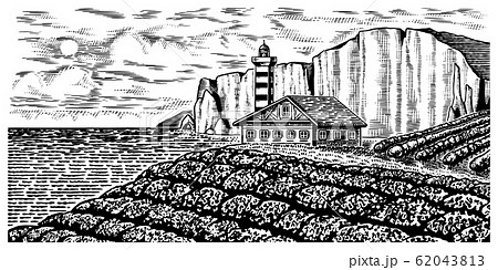 Scenic View Of Vineyards Vine Plantation のイラスト素材