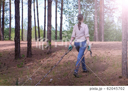 Woman carries felled trees to a forest scout's camp for firewood, back view. 62045702