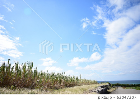 波照間島　ビーチ サンゴ 62047207