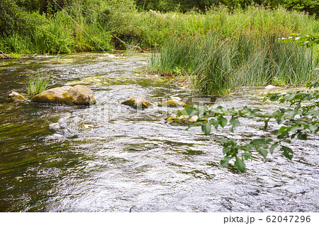 fast current on the river, shallow river, stones 62047296