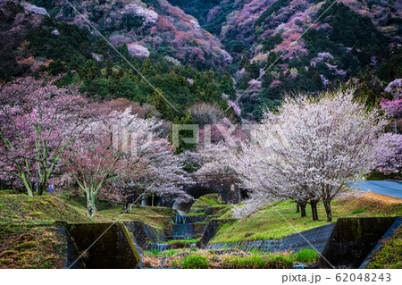 霞間ヶ渓の桜 霞間ヶ渓の桜 62048243